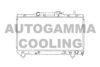 AUTOGAMMA 101357 Radiator, engine cooling